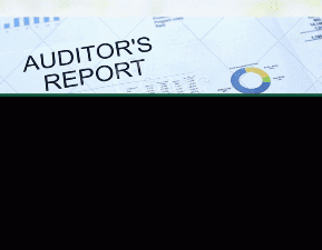 ESG Audit and Third-Party Assurance