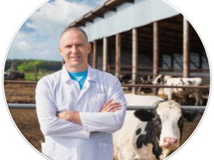 Advanced Veterinary Livestock Insurance Management