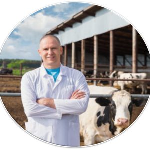 Advanced Veterinary Livestock Insurance Management