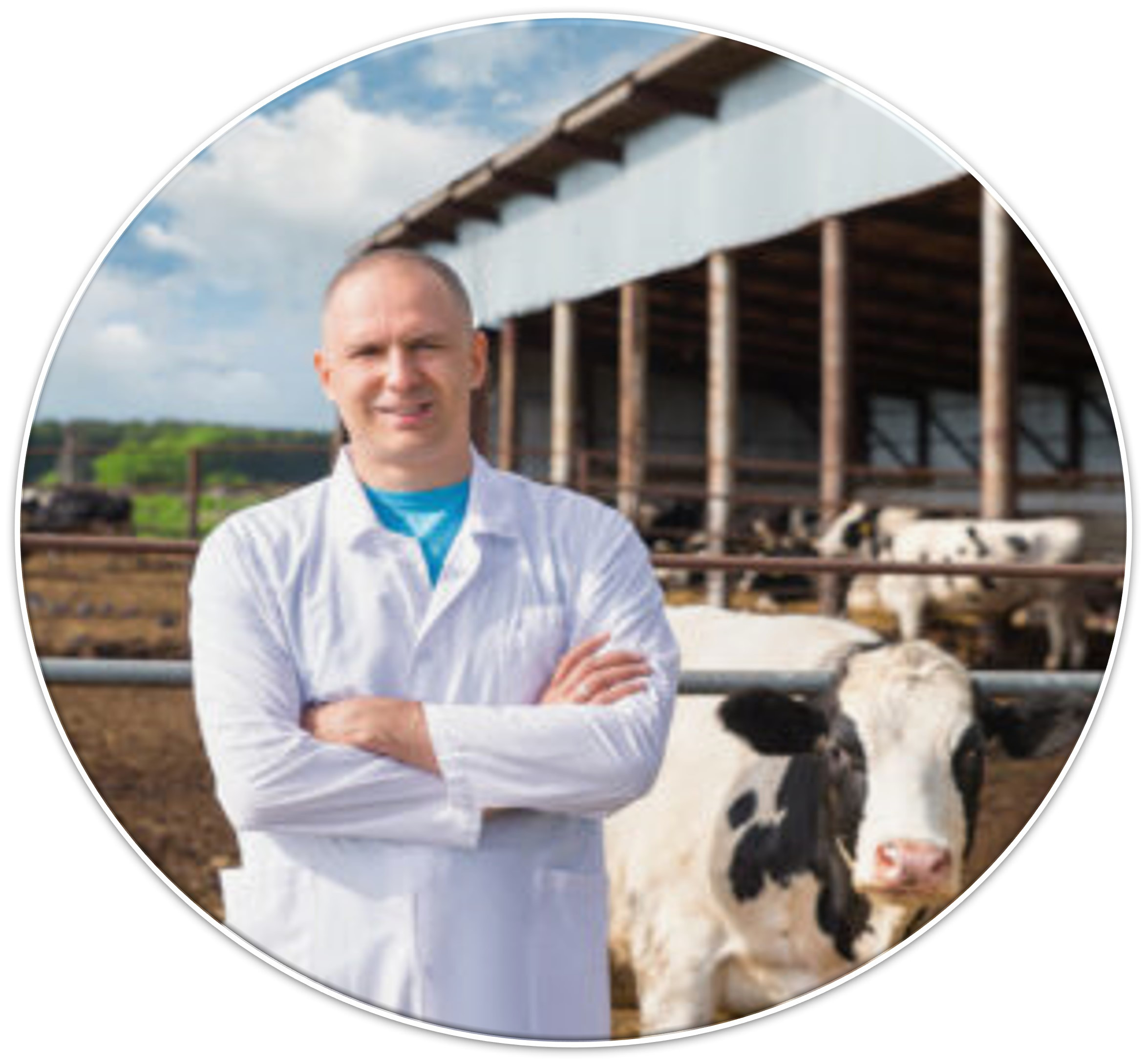 Advanced Veterinary Livestock Insurance Management