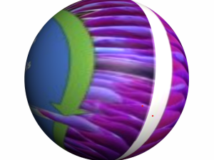 Certificate In Circular Economy