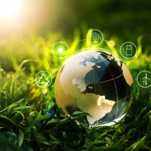 Corporate ESG and Sustainability
