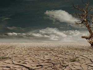 Climate Change and Adaptation