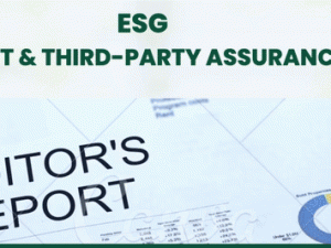 ESG Audit and Assurance
