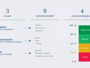 ESG Governance Self-Assessment and  Scoring