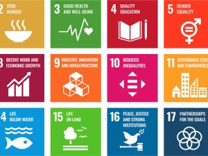 SDG Interpretation and Application
