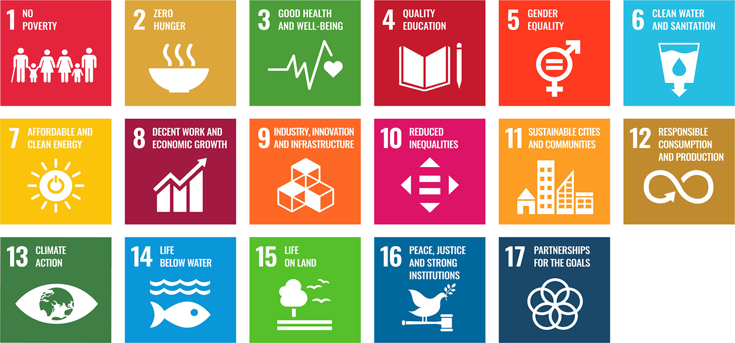 SDG Interpretation and Application