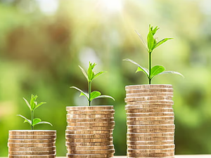 Green and Sustainable Agricultural Finance